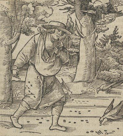 Les oiseaux mangeant les graines du semeur, de Hymmelwagen auff dem, wer wol lebt... - Hans Schäufelein the Elder
