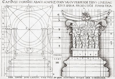 Section transversale du chapiteau corinthien et dessin proportionnel - Hans Sebald Beham