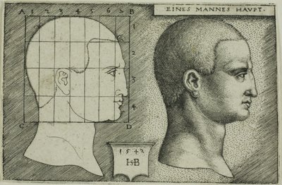 Étude de profil de la tête d