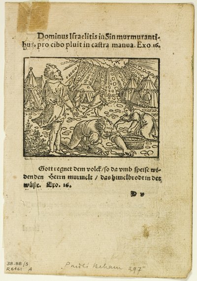 La pluie de manne tirée de Biblische Historien Künstlich fürgemalt, planche cinq de Woodcuts from Books of the XVI Century (gravures sur bois tirées de livres du XVIe siècle) - Hans Sebald Beham