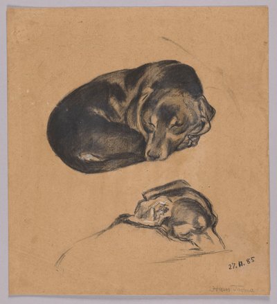 Deux études d