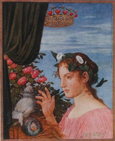 Vénus, illustration de 
