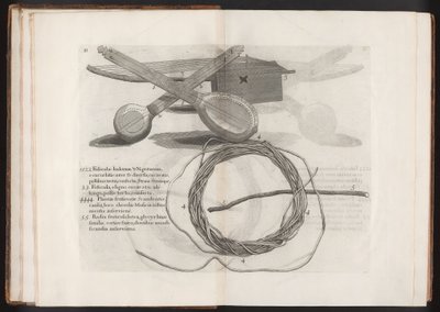 Illustration du Voyage to the Island Madera, Barbados...Vol.2, 1815 - Hans after Sloane