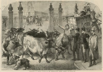 Inspection du bétail étranger au marché aux bestiaux métropolitain - Harden Sidney (after) Melville