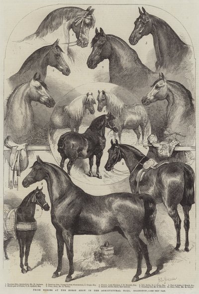 Chevaux primés au salon du cheval à l