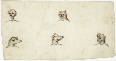 Têtes de quatre animaux et un squelette - Harmen ter Borch