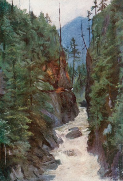 Canyon de Capilano, près de North Vancouver - Harold Copping