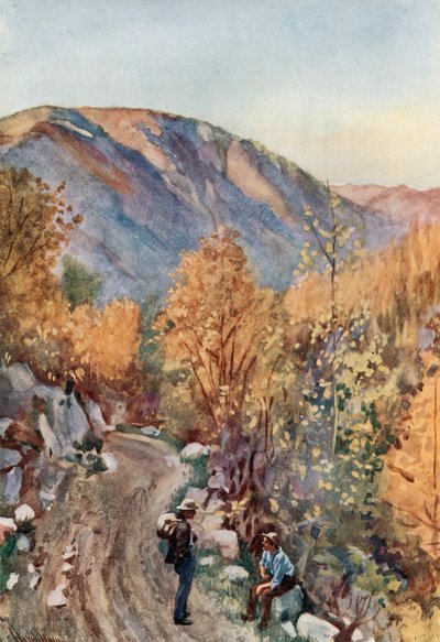 Mont Nelson - Harold Copping