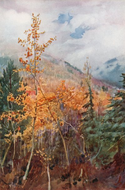 Sur une montagne près de Nelson, Colombie-Britannique - Harold Copping