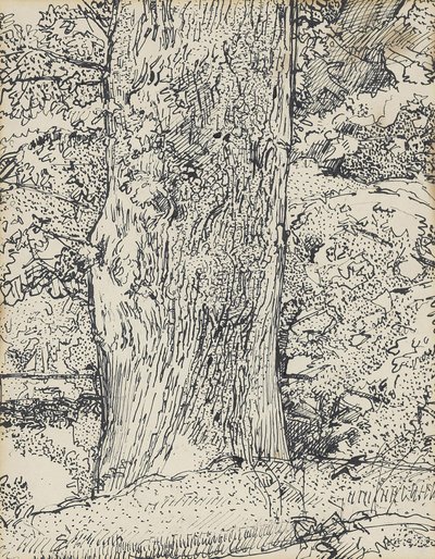 Arbre, 1916 - Harold Gilman