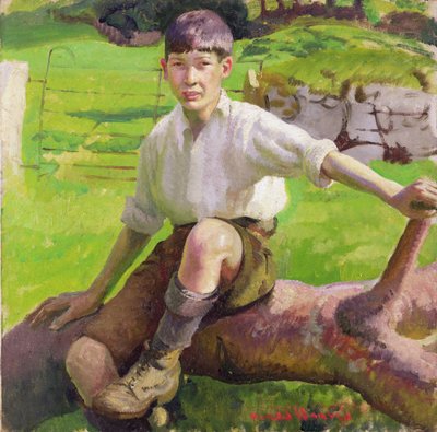 Un garçon cornique - Harold Harvey