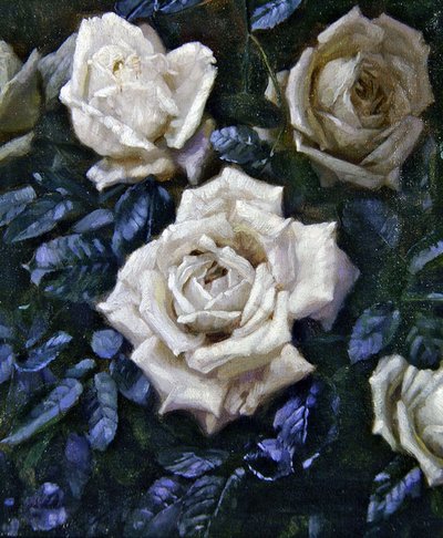 Roses blanches - Harold Oakley