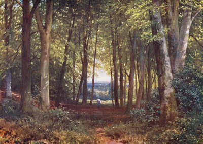 Deer-Leap Wood, Wotton - Harold Sutton Palmer