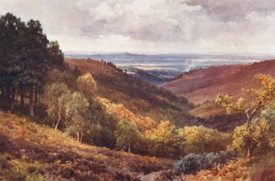 Hindhead, The Punchbowl, vue vers le nord - Harold Sutton Palmer