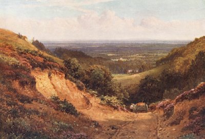 La carrière de gravier, au-dessus de Gomshall - Harold Sutton Palmer
