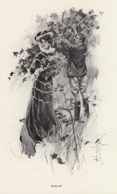 Femme cueillant des fleurs avec un admirateur masculin - Harrison Fisher