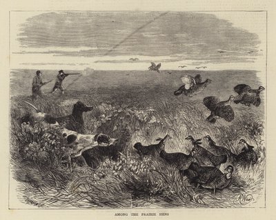 Parmi les poules des prairies - Harrison William Weir