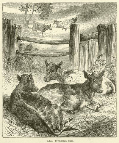 Veaux - Harrison William Weir