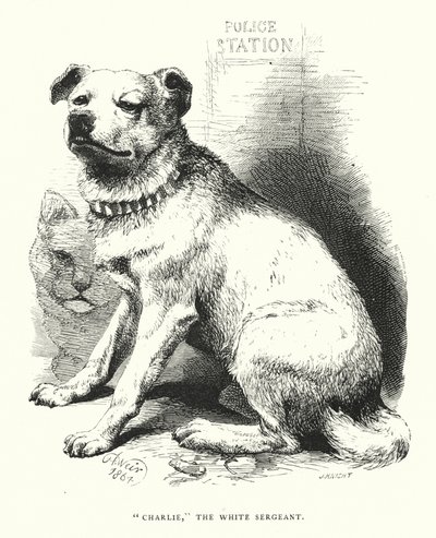 "Charlie," le sergent blanc - Harrison William Weir