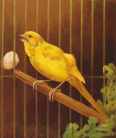 Dickie Bird - Harrison William Weir
