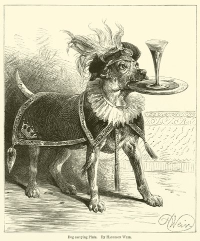 Chien portant une assiette - Harrison William Weir