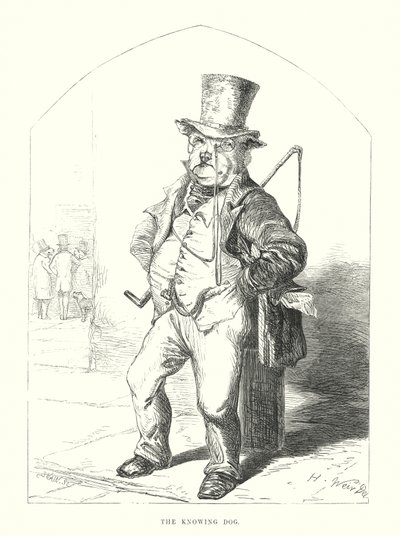Drôles de chiens : Le chien savant (gravure) - Harrison William Weir