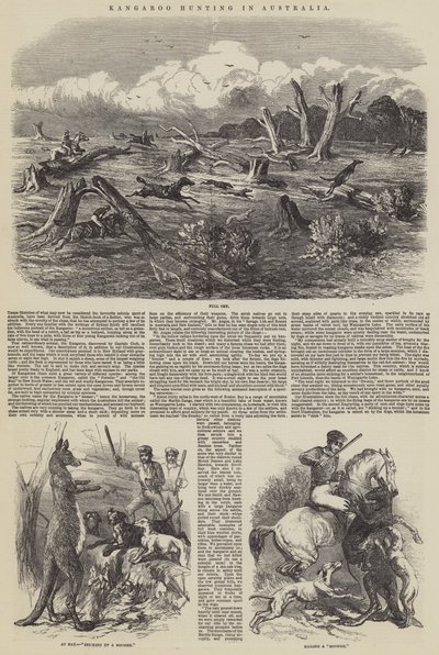 Chasse au kangourou en Australie - Harrison William Weir