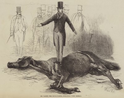 M. Rarey, le dompteur de chevaux, opérant sur Cruiser - Harrison William Weir
