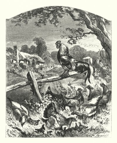 Éloge de la vie à la campagne - Harrison William Weir