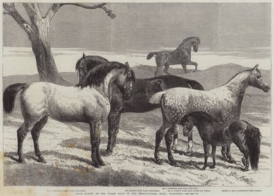 Chevaux primés au salon du cheval dans le hall agricole, Islington - Harrison William Weir