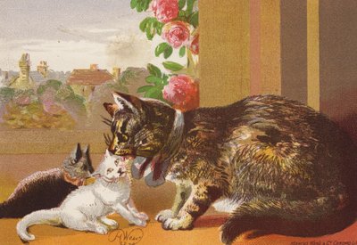 La chatte et ses chatons - Harrison William Weir