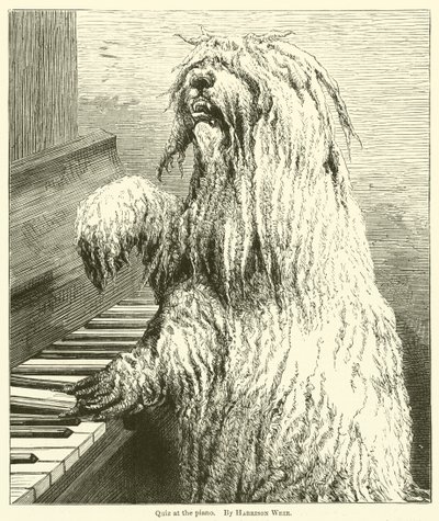 Quiz au piano - Harrison William Weir