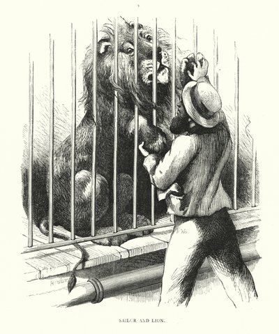 Marin et lion - Harrison William Weir