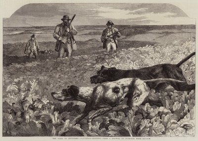 Le Premier Septembre, Chasse à la perdrix - Harrison William Weir