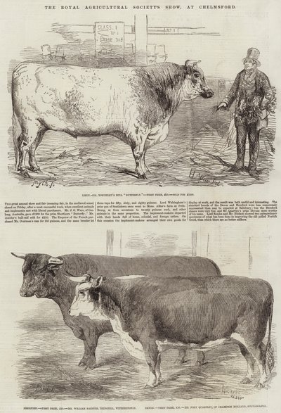 Exposition de la Société Royale d