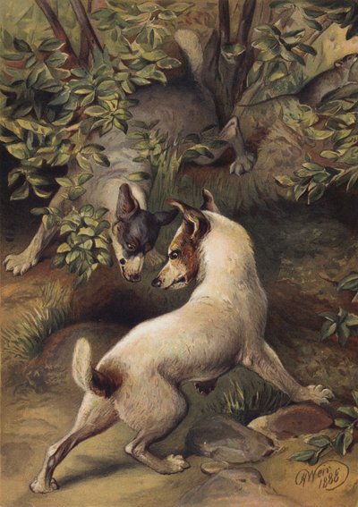 Deux chiens essayant d