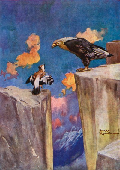 Le Geai et le Rossignol - Harry Rountree