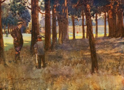 Terrains de Golf : Mildenhall, le résultat d