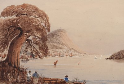 Vue d