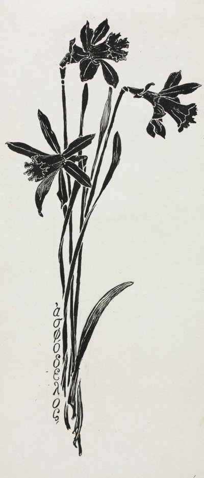 Jonquilles - Harry Fenn