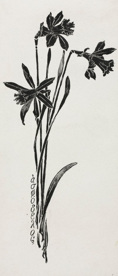 Jonquilles - Harry Fenn