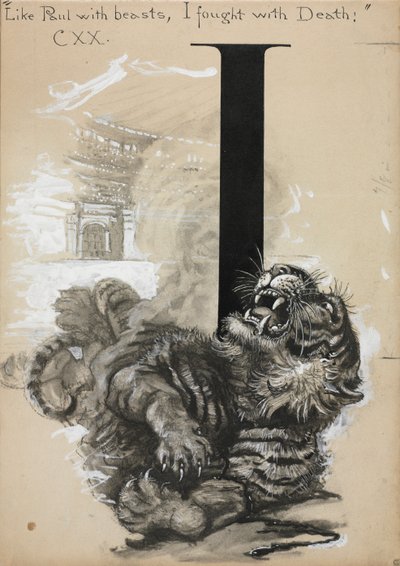 Tigre - Harry Fenn