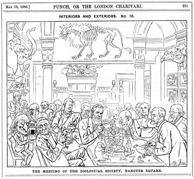 La réunion de la Société zoologique royale, Hanover Square, Londres - Harry Furniss
