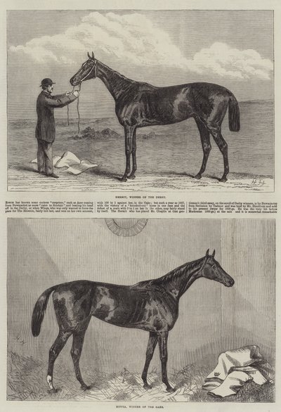 Cheval de course - Harry Hall