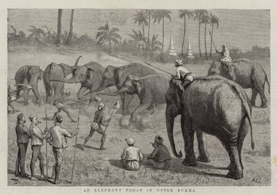 Un éléphant Pooay en Haute-Birmanie - Harry Hamilton Johnston
