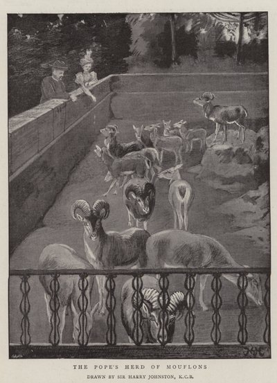 Le troupeau de mouflons du Pape - Harry Hamilton Johnston