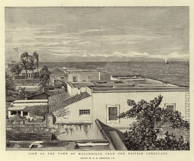 Vue de la ville de Mocambique depuis le consulat britannique - Harry Hamilton Johnston