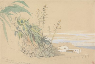 Aloès et figuiers de Barbarie, Tarragone, Espagne - Harry John Johnson