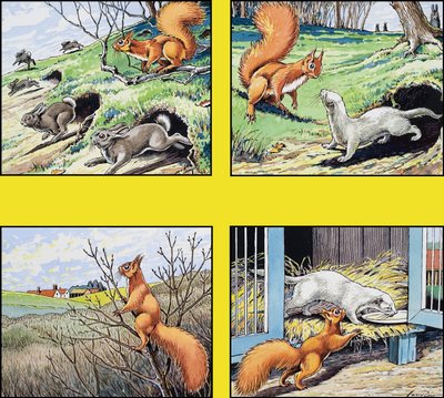 Petit écureuil rouge - Harry M. Pettit