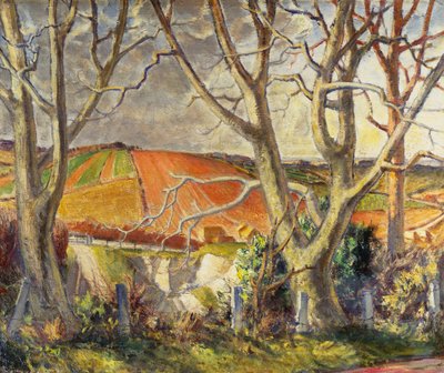 Carrière de craie du Dorset - Harry Morley
